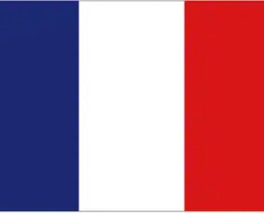 ヨーロッパ諸国のSTEAM教育①フランスにおけるSTEAM教育の現状